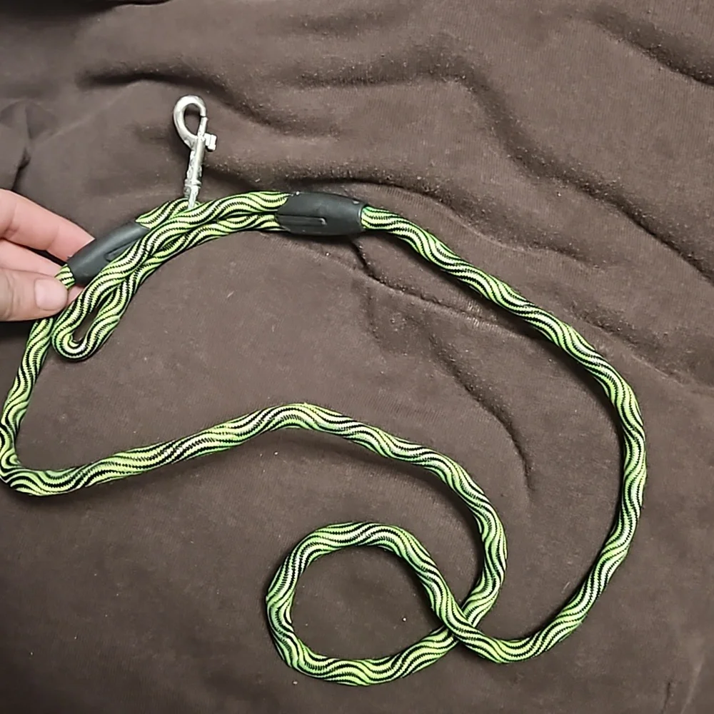 Dog 🐕 leash